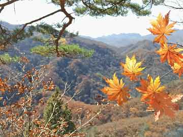 胎停大月份打胎药微信璋利国际完成配售359万股 净筹约415万港元